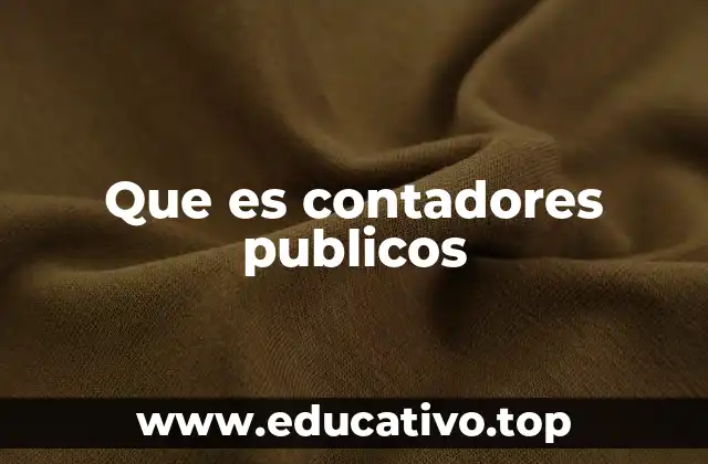 Que es contadores publicos