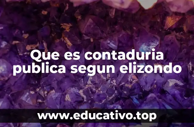 Que es contaduria publica segun elizondo