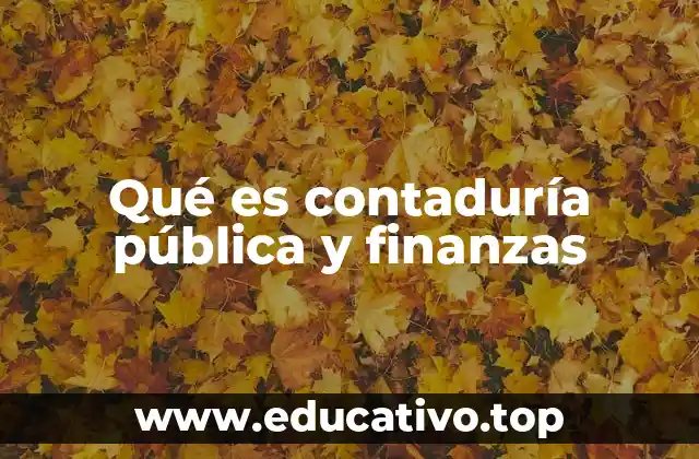 Qué es contaduría pública y finanzas