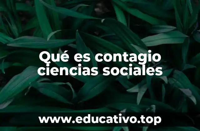 El rol del contagio en la formación de grupos sociales