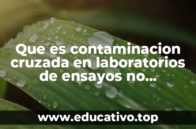 Factores que contribuyen a la contaminación cruzada en ensayos no destructivos