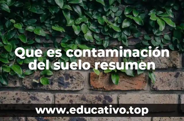 Que es contaminación del suelo resumen
