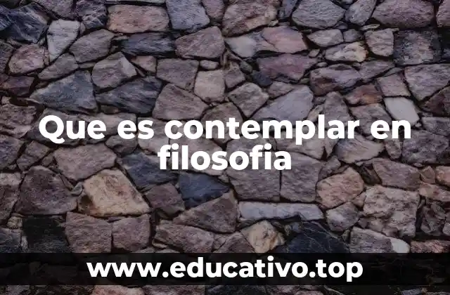 Que es contemplar en filosofia