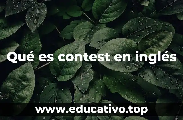 El uso de contest en contextos legales y formales