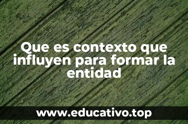 Que es contexto que influyen para formar la entidad