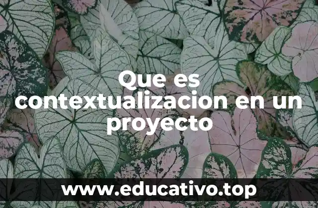 Que es contextualizacion en un proyecto