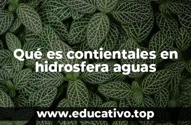 Qué es contientales en hidrosfera aguas