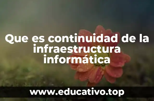 Que es continuidad de la infraestructura informática