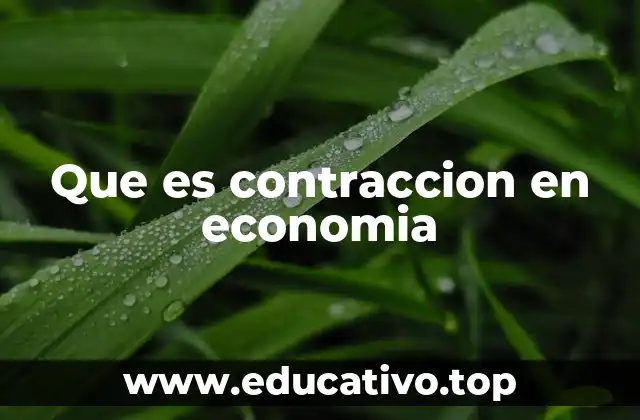 Que es contraccion en economia