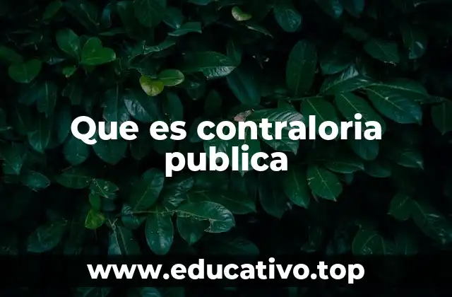 Que es contraloria publica
