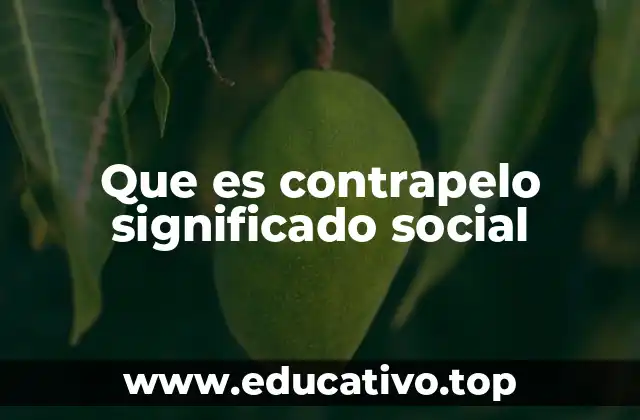Que es contrapelo significado social