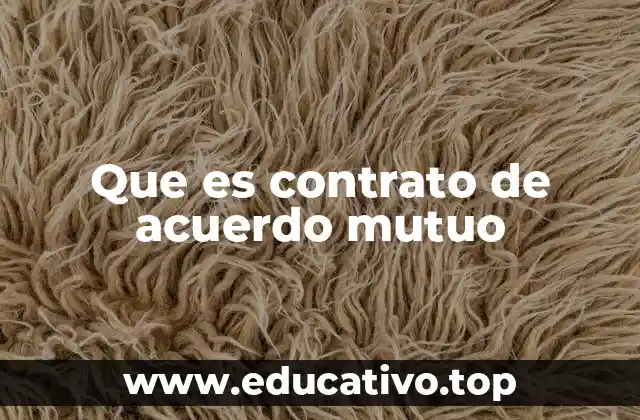 La base legal de los acuerdos voluntarios entre partes