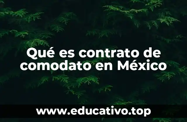 Qué es contrato de comodato en México