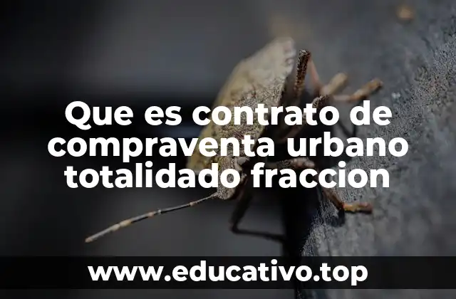 Que es contrato de compraventa urbano totalidado fraccion