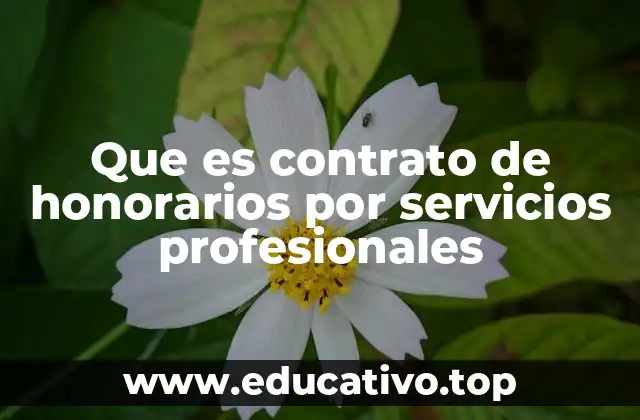 Contratos profesionales y su importancia en el mundo empresarial