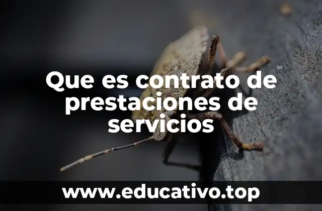 Que es contrato de prestaciones de servicios
