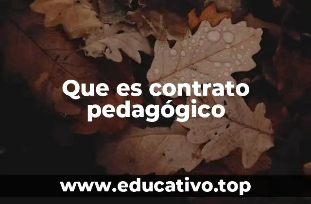 Que es contrato pedagógico