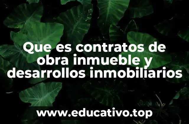 Que es contratos de obra inmueble y desarrollos inmobiliarios