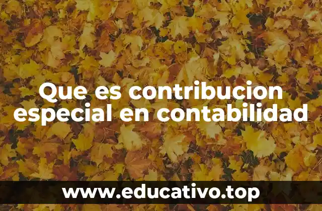Que es contribucion especial en contabilidad