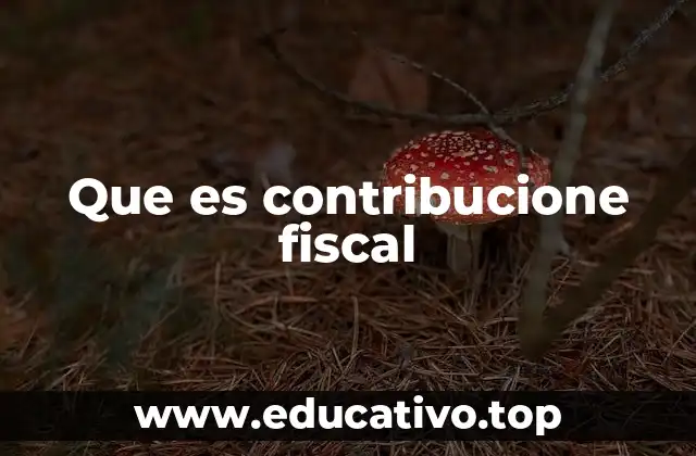 La importancia de las aportaciones al Estado