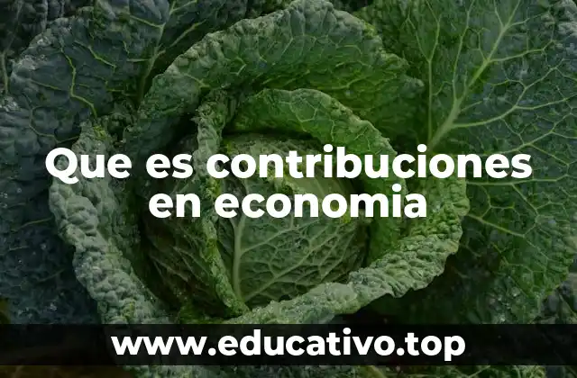 Que es contribuciones en economia