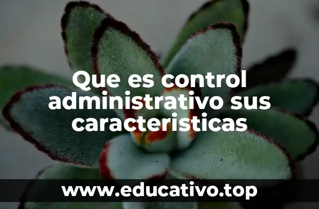 La importancia del control en la gestión organizacional