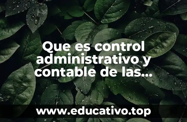 Que es control administrativo y contable de las empresas constructuras