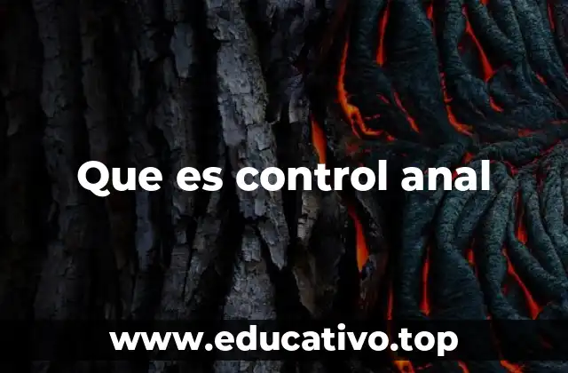 Que es control anal