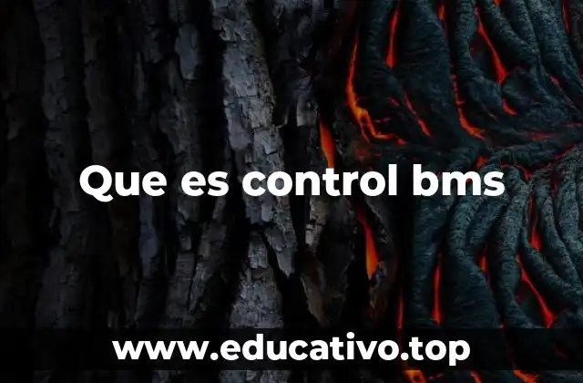 Que es control bms