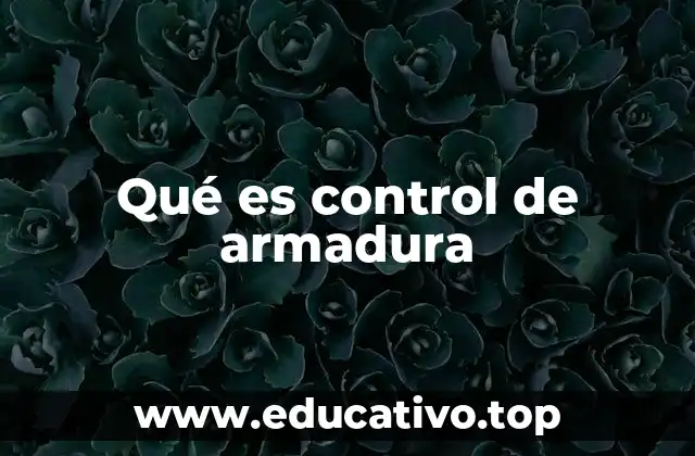 Qué es control de armadura
