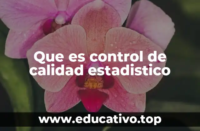 Que es control de calidad estadistico