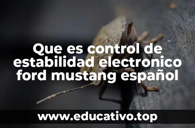 Que es control de estabilidad electronico ford mustang español