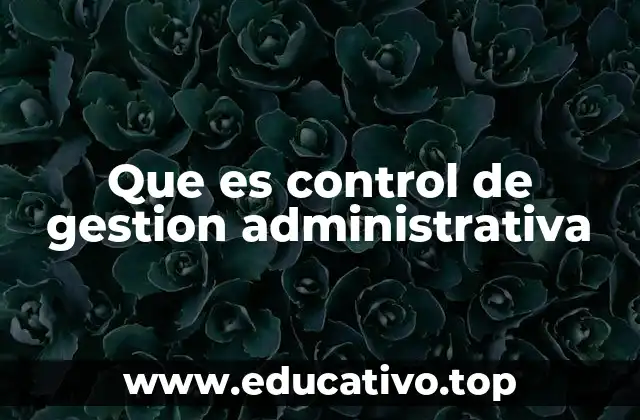 Que es control de gestion administrativa