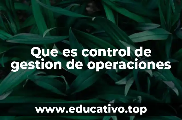 Que es control de gestion de operaciones