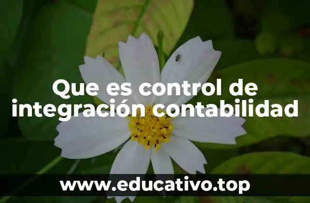 Que es control de integración contabilidad