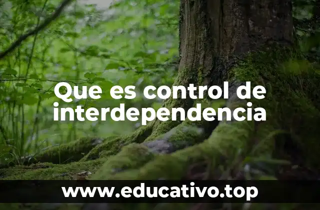 Que es control de interdependencia