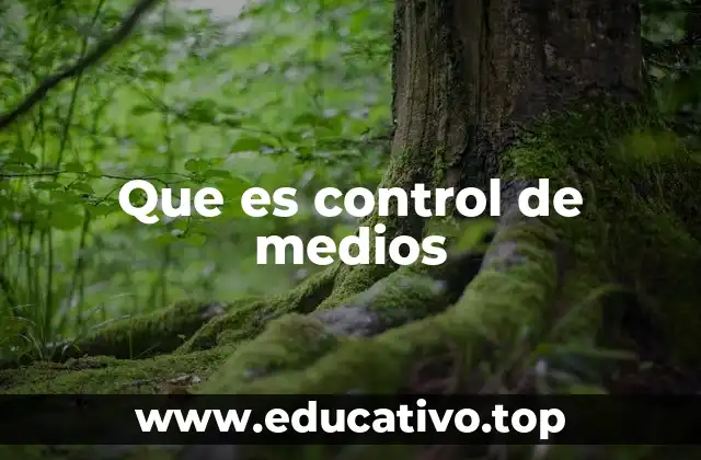 Que es control de medios