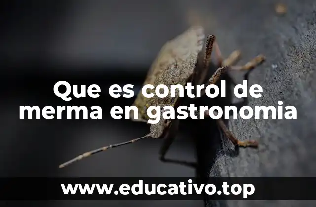 Que es control de merma en gastronomia