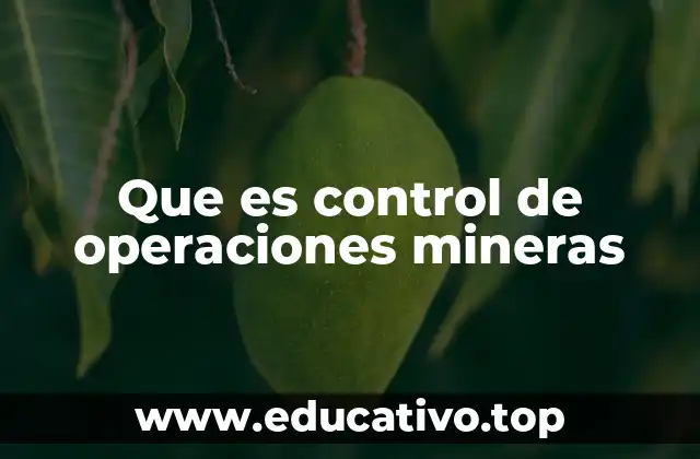 Que es control de operaciones mineras