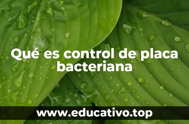 Qué es control de placa bacteriana