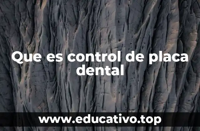 Que es control de placa dental