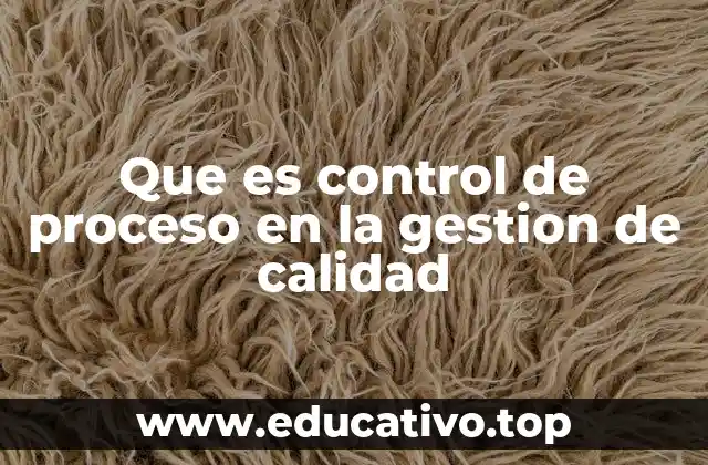 Que es control de proceso en la gestion de calidad