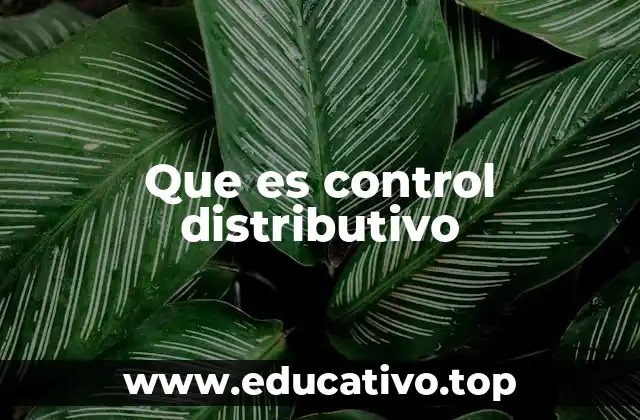 Que es control distributivo