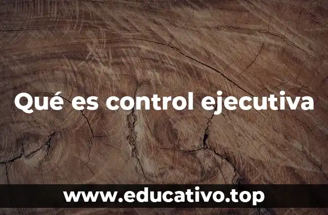 Qué es control ejecutiva