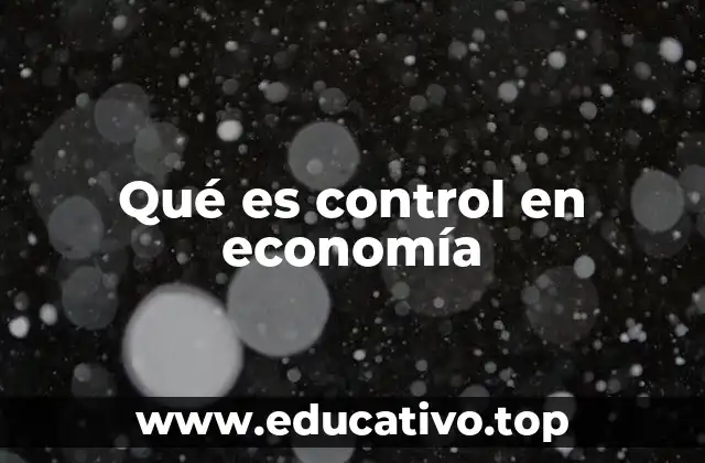 Qué es control en economía