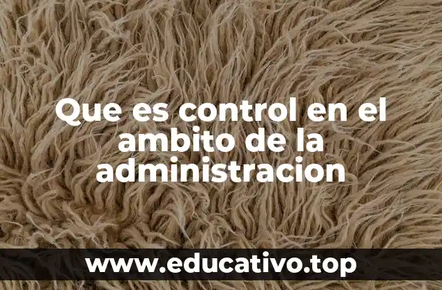 Que es control en el ambito de la administracion