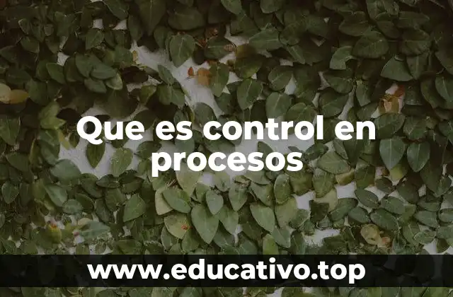 Que es control en procesos