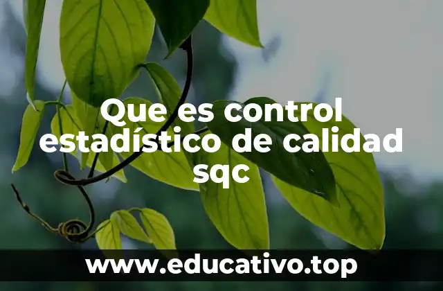 Que es control estadístico de calidad sqc