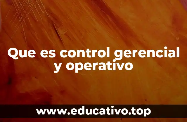 Que es control gerencial y operativo
