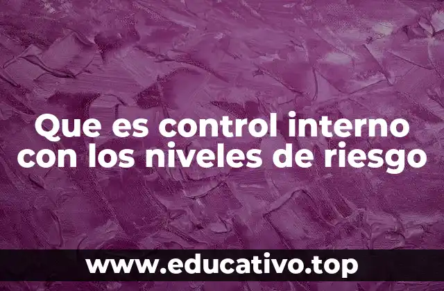Que es control interno con los niveles de riesgo
